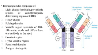 Antibody | PPTX