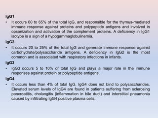IgG1
• It occurs 60 to 65% of the total IgG, and responsible for the thymus-mediated
immune response against proteins and polypeptide antigens and involved in
opsonization and activation of the complement proteins. A deficiency in IgG1
isotype is a sign of a hypogammaglobulinemia.
IgG2
• It occurs 20 to 25% of the total IgG and generate immune response against
carbohydrate/polysaccharide antigens. A deficiency in IgG2 is the most
common and is associated with respiratory infections in infants.
IgG3
• IgG3 occurs 5 to 10% of total IgG and plays a major role in the immune
responses against protein or polypeptide antigens.
IgG4
• It occurs less than 4% of total IgG, IgG4 does not bind to polysaccharides.
Elevated serum levels of IgG4 are found in patients suffering from sclerosing
pancreatitis, cholangitis (inflammation in bile duct) and interstitial pneumonia
caused by infiltrating IgG4 positive plasma cells.
 