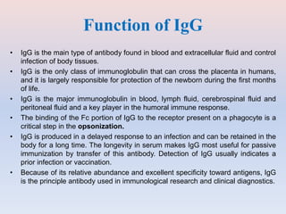 Function of IgG
• IgG is the main type of antibody found in blood and extracellular fluid and control
infection of body tissues.
• IgG is the only class of immunoglobulin that can cross the placenta in humans,
and it is largely responsible for protection of the newborn during the first months
of life.
• IgG is the major immunoglobulin in blood, lymph fluid, cerebrospinal fluid and
peritoneal fluid and a key player in the humoral immune response.
• The binding of the Fc portion of IgG to the receptor present on a phagocyte is a
critical step in the opsonization.
• IgG is produced in a delayed response to an infection and can be retained in the
body for a long time. The longevity in serum makes IgG most useful for passive
immunization by transfer of this antibody. Detection of IgG usually indicates a
prior infection or vaccination.
• Because of its relative abundance and excellent specificity toward antigens, IgG
is the principle antibody used in immunological research and clinical diagnostics.
 