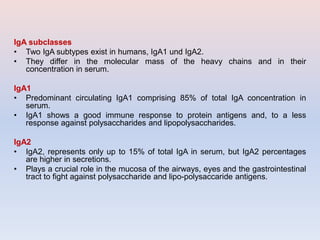 IgA subclasses
• Two IgA subtypes exist in humans, IgA1 und IgA2.
• They differ in the molecular mass of the heavy chains and in their
concentration in serum.
IgA1
• Predominant circulating IgA1 comprising 85% of total IgA concentration in
serum.
• IgA1 shows a good immune response to protein antigens and, to a less
response against polysaccharides and lipopolysaccharides.
IgA2
• IgA2, represents only up to 15% of total IgA in serum, but IgA2 percentages
are higher in secretions.
• Plays a crucial role in the mucosa of the airways, eyes and the gastrointestinal
tract to fight against polysaccharide and lipo-polysaccaride antigens.
 