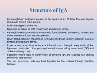 Structure of IgA
• Immunoglobulin A (IgA) is present in the serum as a 170 kDa, four polypeptide
(two L and two H) chain protein.
• Its H-chain type is alpha (α).
• IgA exists in serum in both monomeric and dimeric forms.
• Although it exists primarily in monomeric form, followed by dimeric, trimeric and
some tetrameric forms are also present.
• IgA in blood occurs in monomeric form whereas those in body secretion occur in
dimeric or multimeric forms.
• In secretions, in addition to the κ or λ L-chains and the IgA heavy chain alpha,
IgA also contains two other polypeptide chains – secretory component (SC) and
J-chain (Joining chain).
• Secretory chains help in transcytosis of exocrine IgA and stabilize IgA against
proteolytic degradation.
• The two four-chain units are held together by the J-chain through disulfide
bridges.
 
