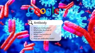 Google
Antibody
• What are Antibodies?
• What's the structure of
antibodies?
• What's the function of
antibodies?
• How are antibodies made?
 