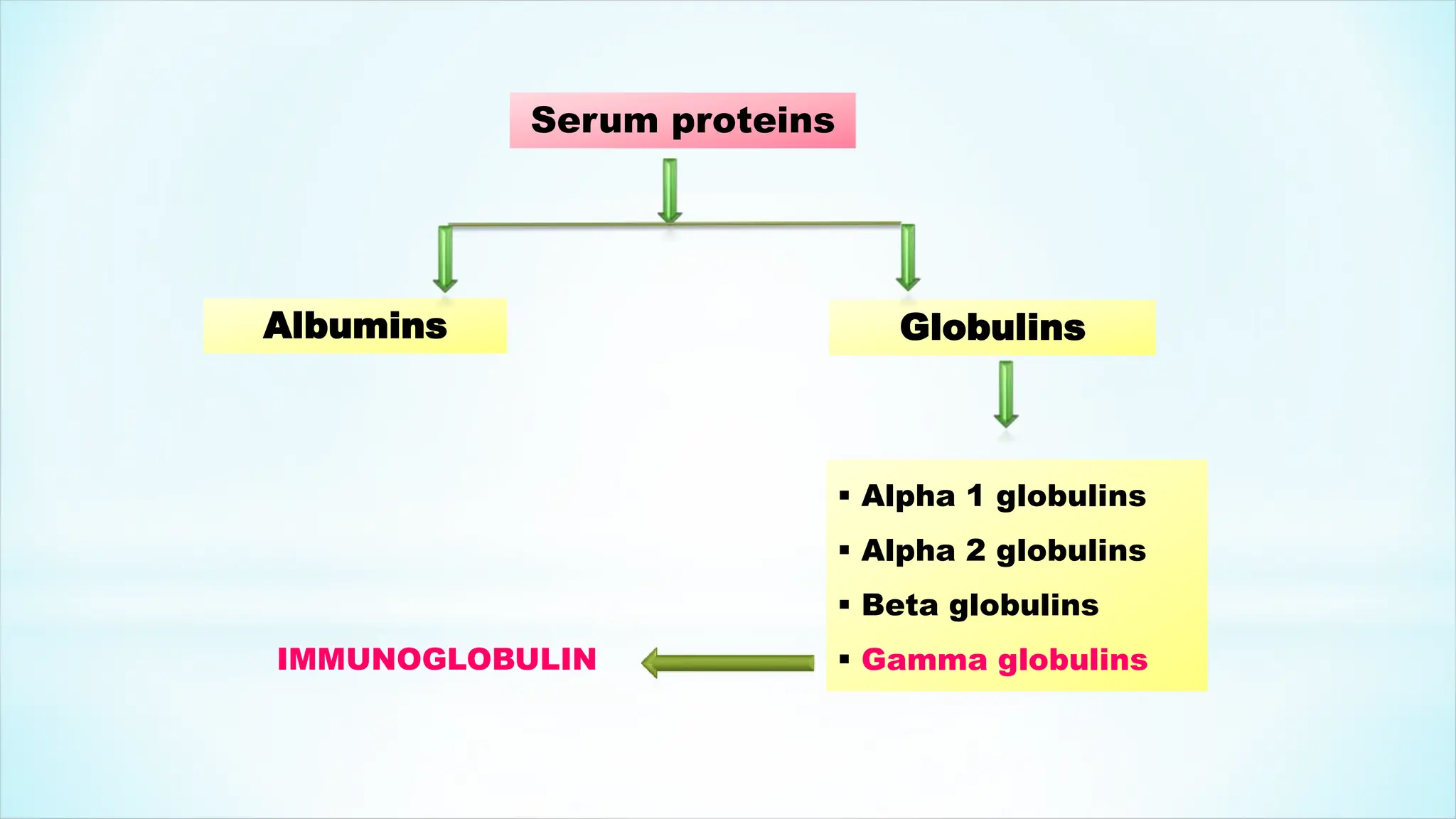 ANTIBODY DEFINITION STRUCTURE TYPES FORMS FUNCTIONS visual data 7