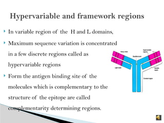 ANTIBODY and its immunology with pharmac | PPTX