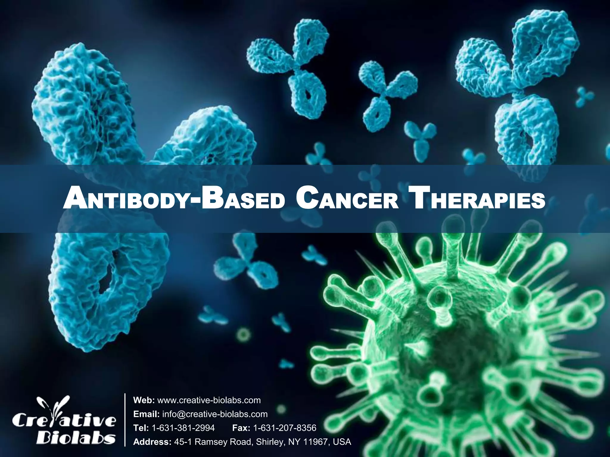 Antibody Based Cancer Therapies - Creative Biolabs | PPTX