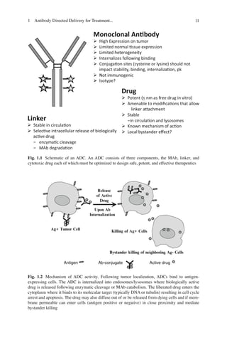 Antibody drug conjugates and immunotoxins | PDF