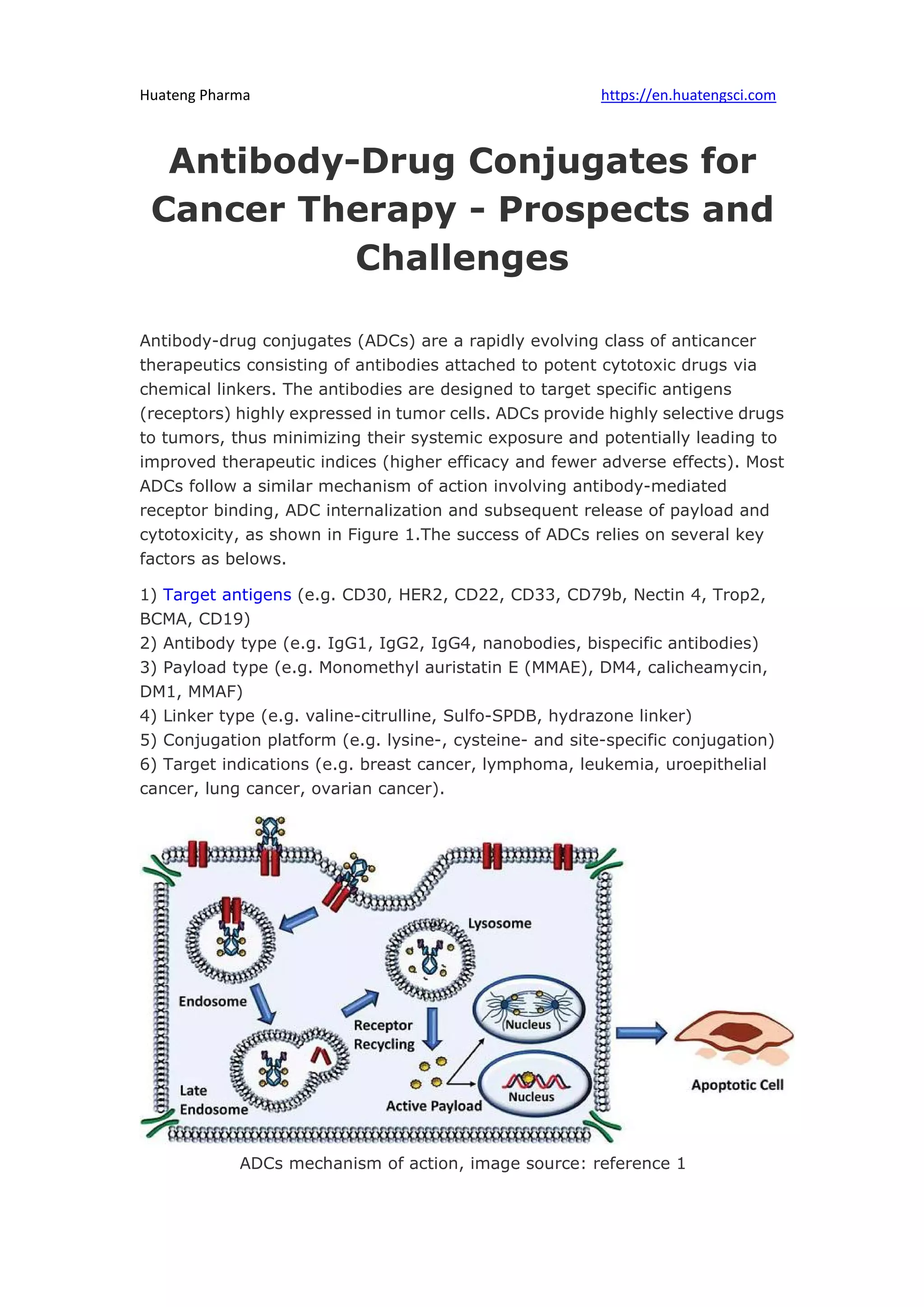 Antibody drug conjugates for cancer therapy - prospects and challenges ...