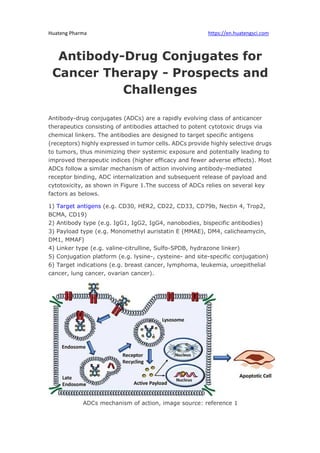 Huateng Pharma https://en.huatengsci.com
Antibody-Drug Conjugates for
Cancer Therapy - Prospects and
Challenges
Antibody-drug conjugates (ADCs) are a rapidly evolving class of anticancer
therapeutics consisting of antibodies attached to potent cytotoxic drugs via
chemical linkers. The antibodies are designed to target specific antigens
(receptors) highly expressed in tumor cells. ADCs provide highly selective drugs
to tumors, thus minimizing their systemic exposure and potentially leading to
improved therapeutic indices (higher efficacy and fewer adverse effects). Most
ADCs follow a similar mechanism of action involving antibody-mediated
receptor binding, ADC internalization and subsequent release of payload and
cytotoxicity, as shown in Figure 1.The success of ADCs relies on several key
factors as belows.
1) Target antigens (e.g. CD30, HER2, CD22, CD33, CD79b, Nectin 4, Trop2,
BCMA, CD19)
2) Antibody type (e.g. IgG1, IgG2, IgG4, nanobodies, bispecific antibodies)
3) Payload type (e.g. Monomethyl auristatin E (MMAE), DM4, calicheamycin,
DM1, MMAF)
4) Linker type (e.g. valine-citrulline, Sulfo-SPDB, hydrazone linker)
5) Conjugation platform (e.g. lysine-, cysteine- and site-specific conjugation)
6) Target indications (e.g. breast cancer, lymphoma, leukemia, uroepithelial
cancer, lung cancer, ovarian cancer).
ADCs mechanism of action, image source: reference 1
 