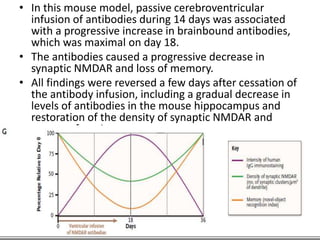 • In this mouse model, passive cerebroventricular
infusion of antibodies during 14 days was associated
with a progressive increase in brainbound antibodies,
which was maximal on day 18.
• The antibodies caused a progressive decrease in
synaptic NMDAR and loss of memory.
• All findings were reversed a few days after cessation of
the antibody infusion, including a gradual decrease in
levels of antibodies in the mouse hippocampus and
restoration of the density of synaptic NMDAR and
memory function
 