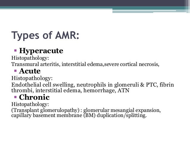 antibody mediated rejection in kidney transplantation 3 638