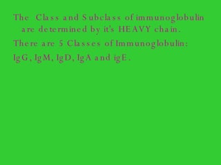 The  Class and Subclass of immunoglobulin  are determined by it’s HEAVY chain. There are 5 Classes of Immunoglobulin: IgG, IgM, IgD, IgA and igE. 