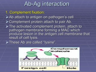Antibody Antigen Intrction | PPT