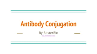 Antibody Conjugation
By BosterBio
http://bosterbio.com/
 