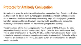Protocol for Antibody Conjugation
No protocol is given for antibody purification after conjugation (e.g., Protein x or Protein
z). In general, we do not purify our conjugates directed against cell-surface antigens,
since unreacted dye is removed during the washing steps. Our conjugates generally
have low background levels. However, you may find it useful to purify conjugates,
especially if they are to be used for intracellular (cytoplasmic) staining
The conjugations fall into four basic protocols: Type 1 (used for FITC, Cy5, and the initial
preparation of the Cy5 and Cy7 tandem dyes); Type 2 (used for Biotin and Cascade Blue);
Type 3 (used for conjugation of PE, APC, TR-BSA, and their derivatives); and Type 4 (used
for the initial preparation of non-immunoglobulin proteins like Annexin V). Buffers for all Type
1 reactions are identical, as for Type 2, etc.; some buffers are identical across the different
reaction protocols.
 