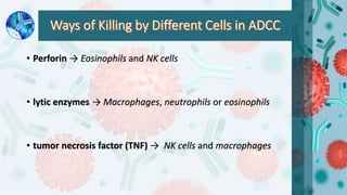 Antibody dependent cell mediated cytotoxicity (ADCC) by Prabeen | PPTX