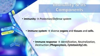 Antibody dependent cell mediated cytotoxicity (ADCC) by Prabeen | PPTX