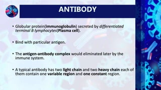 Antibody dependent cell mediated cytotoxicity (ADCC) by Prabeen | PPTX
