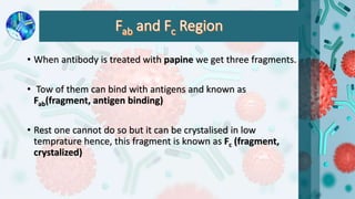 Antibody dependent cell mediated cytotoxicity (ADCC) by Prabeen | PPTX