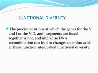 JUNCTIONAL DIVERSITY

The precise positions at which the genes for the V
 and J or the V,D, and J segments are fused
 together is not, and imprecise DNA
 recombination can lead to changes to amino acids
 at these junction sites, called Junctional diversity.
 