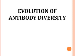 EVOLUTION OF
ANTIBODY DIVERSITY
 