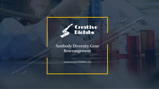 Antibody Diversity-Gene
Rearrangement
www.creative-biolabs.com
 
