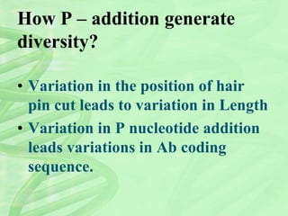 How P – addition generate
diversity?
• Variation in the position of hair
pin cut leads to variation in Length
• Variation in P nucleotide addition
leads variations in Ab coding
sequence.
 