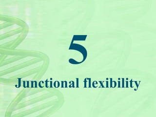 5
Junctional flexibility
 