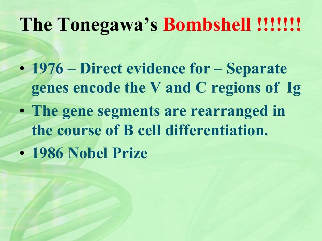 Antibody diversity presentation