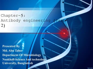 Chapter-5:
Antibody engineering (Part-
2)
Presented By
Md. Abu Taher
Department Of Microbiology
Noakhali Science And technology
University, Bangladesh
 