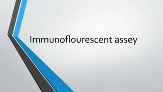 Immunoflourescent assey
 