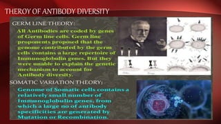THEROY OF ANTIBODY DIVERSITY
 