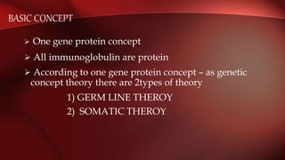 BASIC CONCEPT
 One gene protein concept
 All immunoglobulin are protein
 According to one gene protein concept – as genetic
concept theory there are 2types of theory
1) GERM LINE THEROY
2) SOMATIC THEROY
 