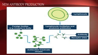 NEW ANTIBODY PRODUCTION
 