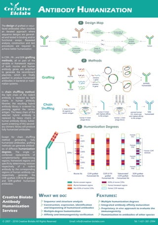 Design Map1
Methods2
© 2007 - 2018 Creative-Biolabs All Rights Reserved Email: info@creative-biolabs.com Tel: 1-631-381-2994
Grafting
Chain
Shuffling
ANTIBODY HUMANIZATION
Creative Biolabs
Antibody
Humanization
Services
Multiple humanization degrees
Integrated antibody affinity maturation
Proprietary approach to evaluate the
immunogenicity
Humanization to antibodies of other species
Sequence and structure analysis
Construction, expression, identification
and biopanning of humanized antibodies
Multiple-degree humanization
Affinity and immunogenicity verification
FEATURES:WHAT WE DO:
VL
gene
The design of grafted or resur-
faced antibodies often involves
an iterated approach where
sequence designs are generat-
ed and tested in binding and/or
functional assays. Repeated
analysis, construction and test
procedures are required to
achieve better humanization.
In CDR-, FR-, and SDR-grafting
methods, all or part of the
variable or framework regions
of both murine and human
antibody genes are ampliﬁed
to generate the recombinant
plasmids, which are ﬁnally
applied to produce humanized
antibodies in bacterial or mam-
malian systems.
Except for chain shuﬄing
method generating fully
humanized antibodies, grafting
methods can generate antibod-
ies of diﬀerent humanization
degrees. The single or
combined replacements of
complementarity determining
regions, framework regions and
speciﬁcity determining residues
respectively of a rodent
antibody by the corresponding
regions of human antibody can
respectively generate the
CDR-grafted, CDR & FR grafted,
and SDR-grafted humanized
antibodies.
murine
human
VH
gene
CL
gene
CH
gene
chimeric
L gene
chimeric
H gene
L chain of murine
Ab against a
certain antigen
human H chain
phage library
G3P
H chain
human L chain
phage library
L chain
G3P
human H chain
with highest-affinity
to the antigen
panned human
H/L chains pair
with highest-affinity
to the antigen
fully
humanized
partially
humanized
Humanization Degrees3
murine
Analysis of
Donor Sequences
Construction of
Fv 3D Model
Choice of
Acceptor
Sequences
Identification of
Backmutations
Design of
Humanized
Sequences
Construction
of Humanized
Sequences
Test of
Humanized
Sequences
humanized human
No ？
Yes ？
SDRs
CDR1
CDR2
CDR3
FR1
FR2
FR3
FR4
Human CDR
residues
Human
FR1
Human
FR2
Human
FR3
Human
FR4
Murine Ab CDR-grafted
Humanized Ab
CDR & FR-
grafted
Humanized Ab
“Abbreviated”
CDR-grafted
Humanized Ab
SDR-grafted
Humanized Ab
Murine constant regions
Murine framework regions
Non-SDRs of murine CDRs
SDRs of murine CDRs
Human framework regions
Human CDR residues
In chain shuﬄing method,
the light chain of the rodent
antibody is replaced by light
chains in human antibody
libraries; the resulting hybrid
antibody library is screened by
panning against the certain
antigen. The heavy chain of the
selected hybrid antibody is
replaced by heavy chains of
human antibody library. Subse-
quent screening of this second-
ary chimeric library will produce
fully humanized antibodies.
in vivo
 