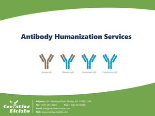 Antibody Humanization Services
Address: 45-1 Ramsey Road, Shirley, NY 11967, USA
Tel: 1-631-381-2994 Fax: 1-631-207-8356
Email: info@creative-biolabs.com
Web: www.creative-biolabs.com
 
