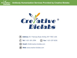 Creative Biolabs’ De Novo Antibody Sequencing Services
Address: 45-1 Ramsey Road, Shirley, NY 11967, USA
Tel: 1-631-381-2994 Fax: 1-631-207-8356
Email: info@creative-biolabs.com
Web: www.creative-biolabs.com
Antibody Humanization Services Provided by Creative Biolabs
 