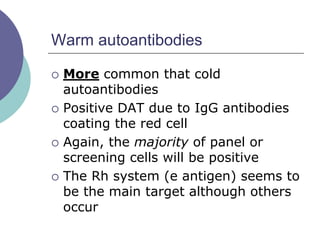 Warm autoantibodies
 More common that cold
autoantibodies
 Positive DAT due to IgG antibodies
coating the red cell
 Again, the majority of panel or
screening cells will be positive
 The Rh system (e antigen) seems to
be the main target although others
occur
 