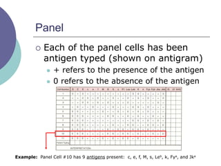 Panel
 Each of the panel cells has been
antigen typed (shown on antigram)
 + refers to the presence of the antigen
 0 refers to the absence of the antigen
Example: Panel Cell #10 has 9 antigens present: c, e, f, M, s, Leb, k, Fya, and Jka
 