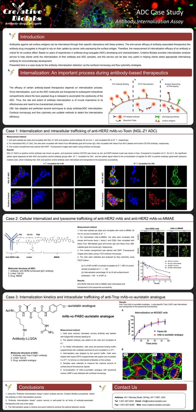 Antibody Internalization Assay Case Studies PDF