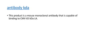 antibody kda
• This product is a mouse monoclonal antibody that is capable of
binding to CMV 65 kDa LA.
 