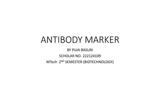 ANTIBODY MARKER
BY PUJA BASURI
SCHOLAR NO- 222124109
MTech 2ND SEMESTER (BIOTECHNOLOGY)
 