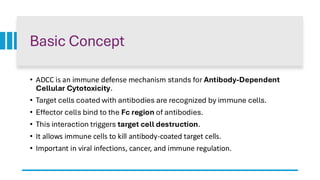 Comprehensive Overview of Antibody-Dependent Cellular Cytotoxicity ...