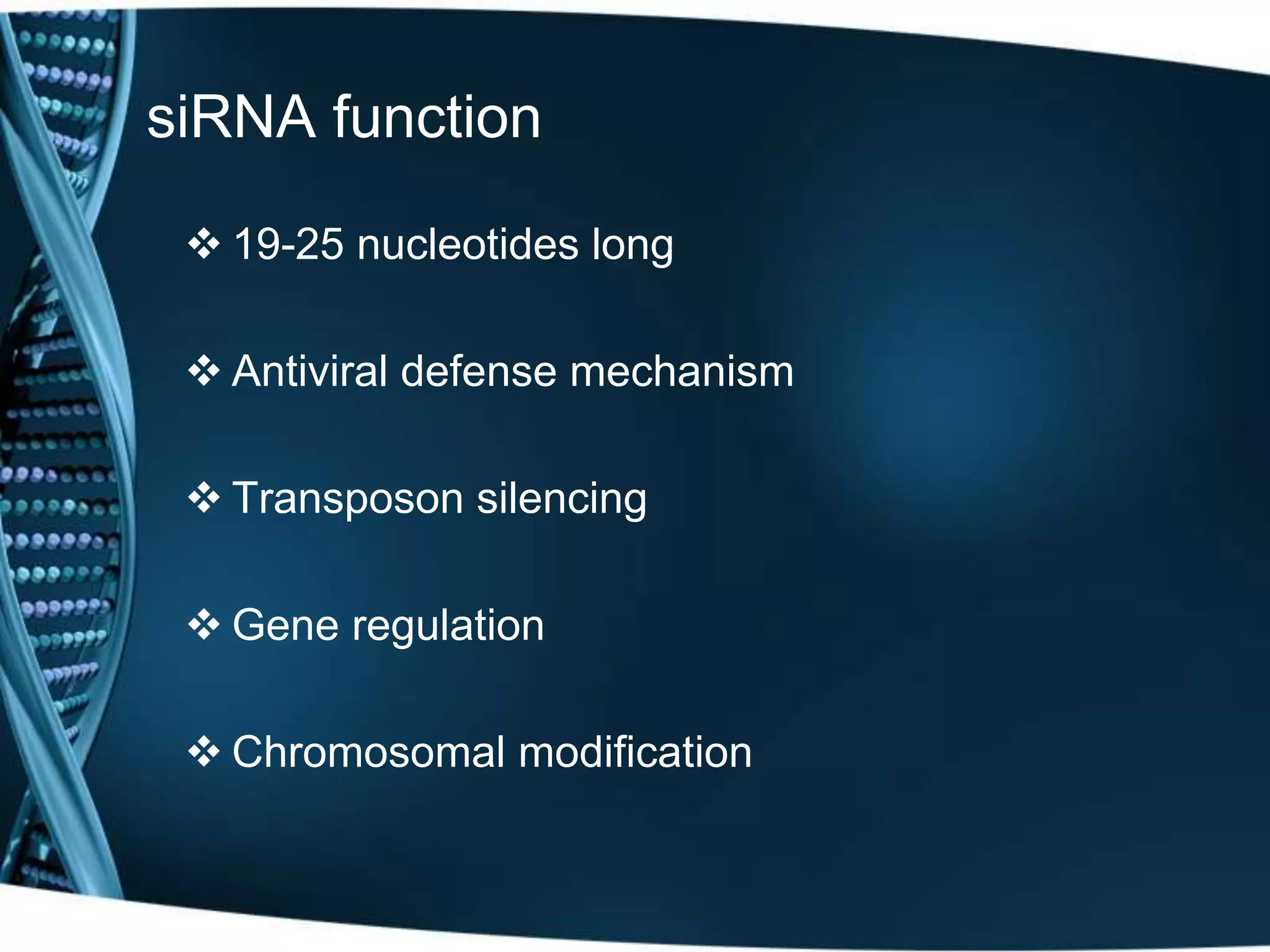 siRNA function 
 19-25 nucleotides long 
 Antiviral defense mechanism 
 Transposon silencing 
 Gene regulation 
 Chromosomal modification 
 