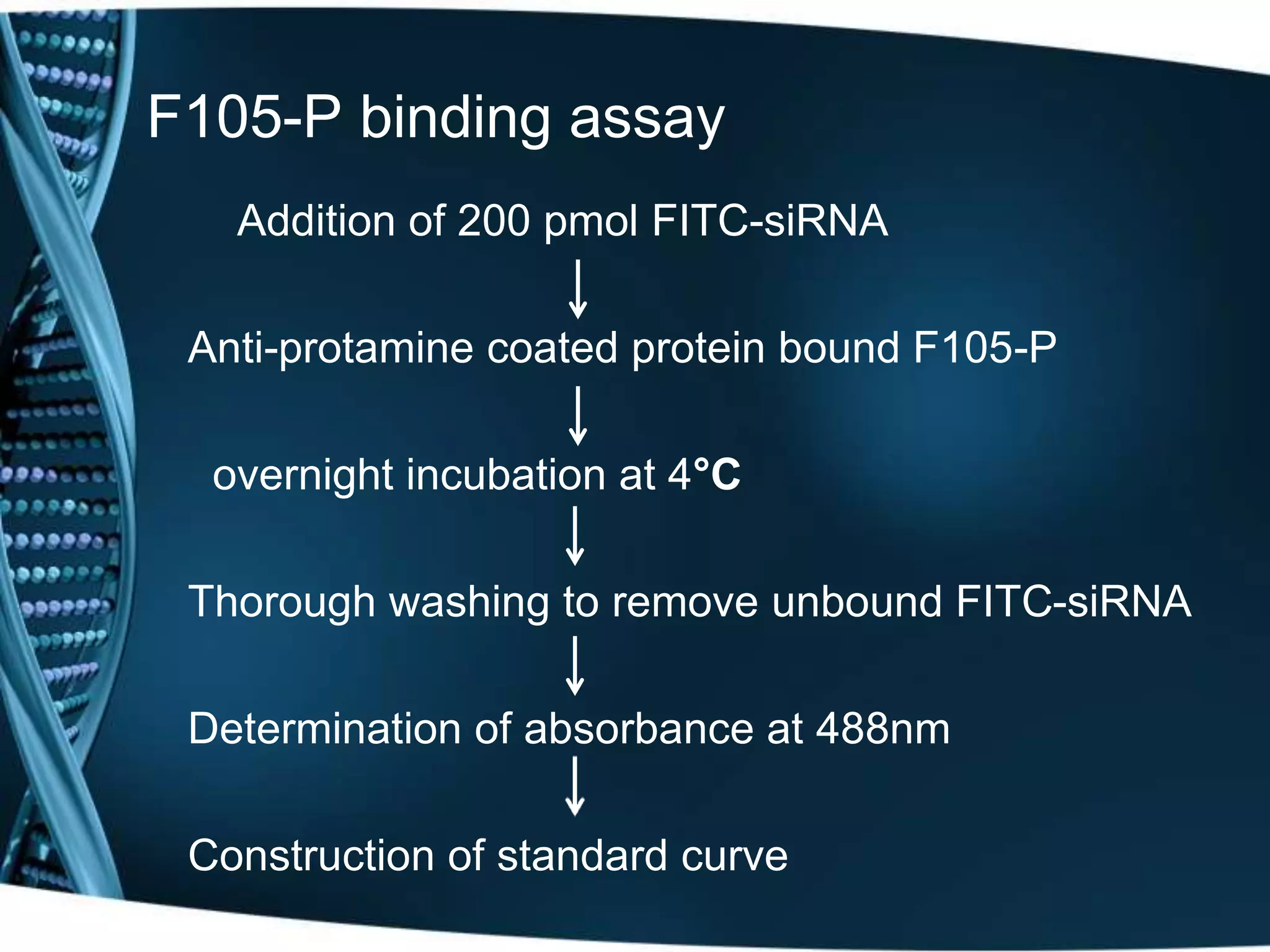 F105-P binding assay 
Addition of 200 pmol FITC-siRNA 
Anti-protamine coated protein bound F105-P 
overnight incubation at 4°C 
Thorough washing to remove unbound FITC-siRNA 
Determination of absorbance at 488nm 
Construction of standard curve 
 