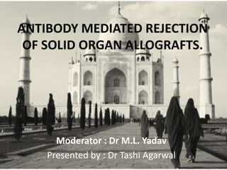 ANTIBODY MEDIATED REJECTION
OF SOLID ORGAN ALLOGRAFTS.
Moderator : Dr M.L. Yadav
Presented by : Dr Tashi Agarwal
 