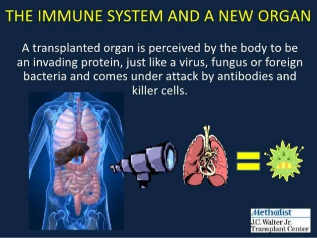 antibody mediated rejection of solid organ allografts organ rejection