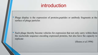 Antibody phage display technology | PPTX