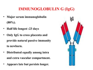 IMMUNOGLOBULIN G (IgG)
• Major serum immunoglobulin
(80%).
• Half life longest :23 days
• Only IgG to cross placenta and
provide natural passive immunity
to newborn.
• Distributed equally among intra
and extra vascular compartment.
• Appears late but persists longer.
 