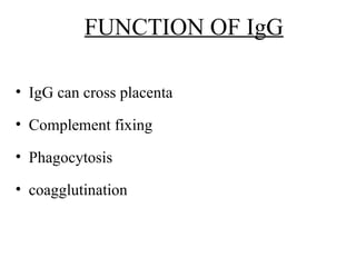 FUNCTION OF IgG
• IgG can cross placenta
• Complement fixing
• Phagocytosis
• coagglutination
 