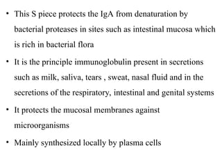 • This S piece protects the IgA from denaturation by
bacterial proteases in sites such as intestinal mucosa which
is rich in bacterial flora
• It is the principle immunoglobulin present in secretions
such as milk, saliva, tears , sweat, nasal fluid and in the
secretions of the respiratory, intestinal and genital systems
• It protects the mucosal membranes against
microorganisms
• Mainly synthesized locally by plasma cells
 